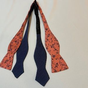 Tie and bow tie lot